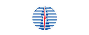 India powergrid