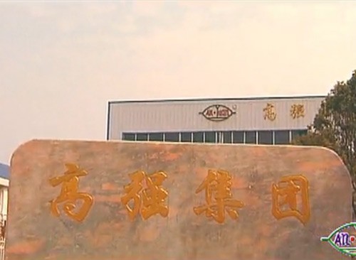 GaoQiang Ceramic Insulator Group Promotional Film